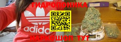 MDMA Premium VHQ Камышлов