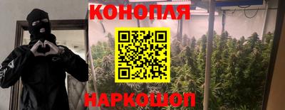 винт Канаш