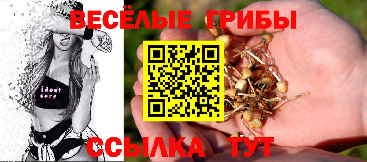 Псилоцибиновые грибы мухоморы  Псилоцибиновые грибы MAGIC MUSHROOMS  Красноармейск  Вход с VPN 